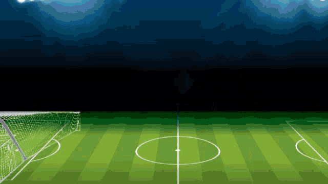 a soccer field with a goal and a circle in the middle