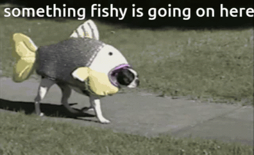 Fishy Fishy Fish GIF - Fishy Fishy Fish Making It Stinky GIFs