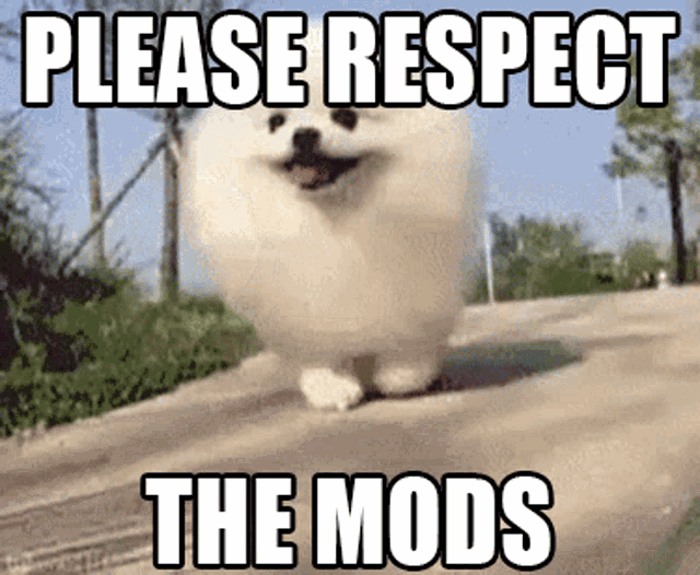 Please Respect GIF - Please Respect The Mods GIFs