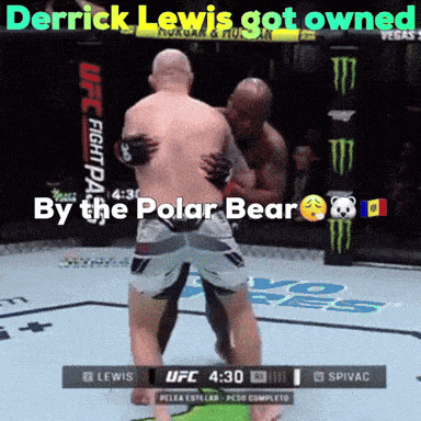derrick lewis got owned by the polar bear during a ufc fight