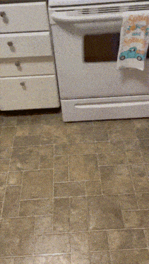 a kitchen with a white stove and a towel that says spring