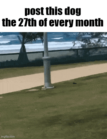 a picture of a dog with the words post this dog the 27th of every month at the top