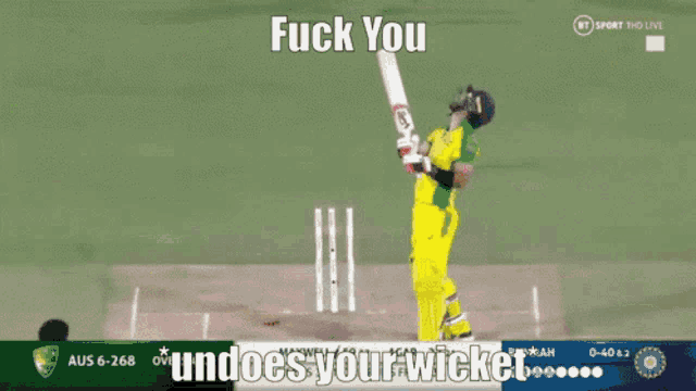 a screenshot of a cricket game with the words " fuck you " on the bottom