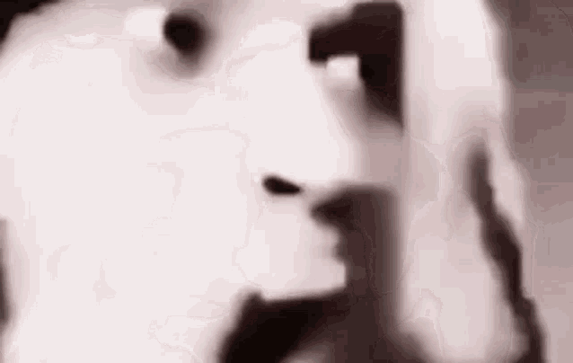 a close up of a white dog 's face with a blurred background .