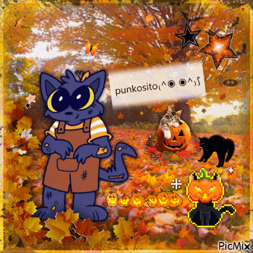a picture of a cat with a sign that says punkosito on it