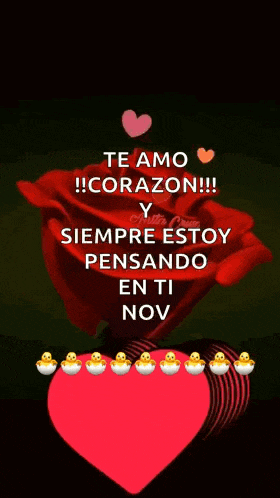 a red rose is sitting on top of a red heart with a message in spanish