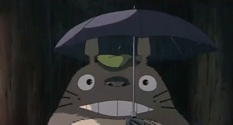 โตโตโร่ ฝน GIF - Otoro Rain Raining GIFs