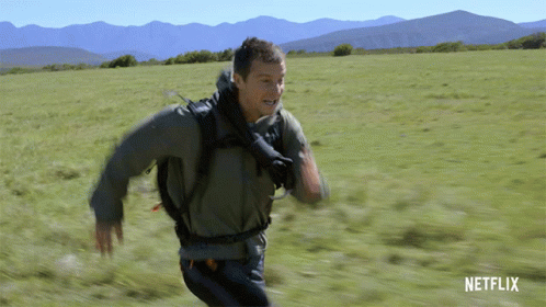 Run Animals On The Loose GIF - Run Animals On The Loose Escape GIFs