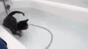 a black cat is playing in a bathtub .