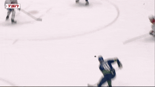 a hockey game is being played on the tsn network