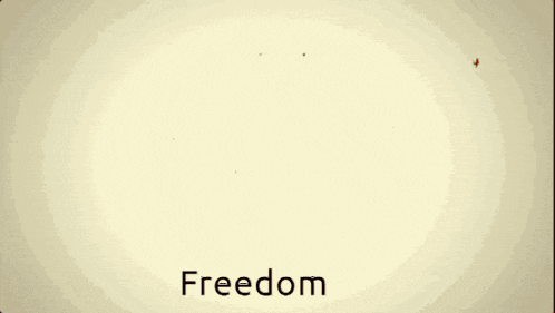 Freedom Explosion GIF - Freedom Explosion Boom GIFs
