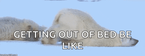 two polar bears laying in the snow with the words getting out of bed be like