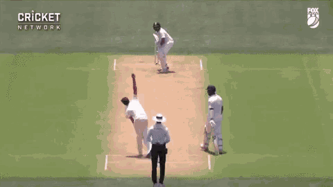 a cricket game is being broadcast on fox sports