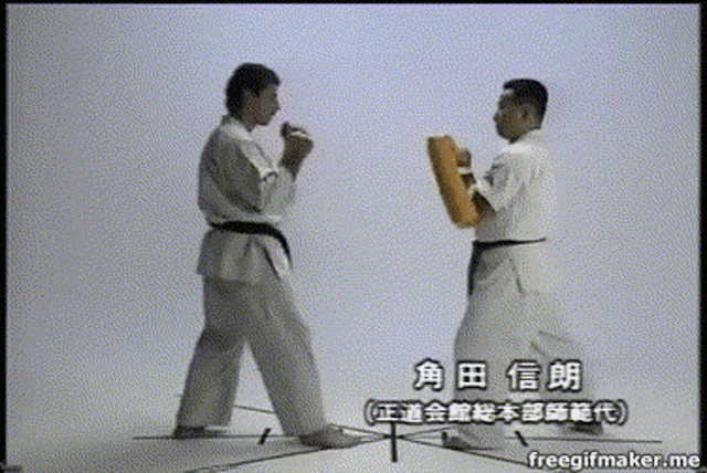 Karate Karate Kid GIF - Karate Karate Kid Kyokushin GIFs