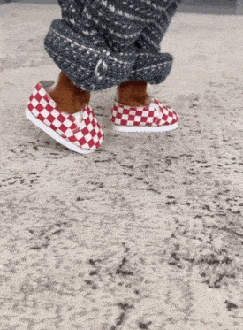 Dog In Shoes Dogcroc GIF - Dog In Shoes Dogcroc Pretty Fly GIFs