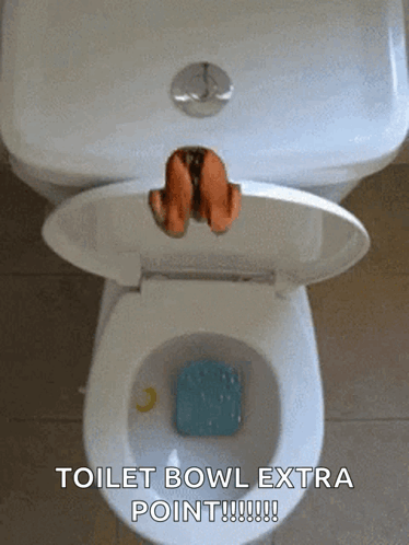 Funny Toilet GIF - Funny Toilet Jump GIFs