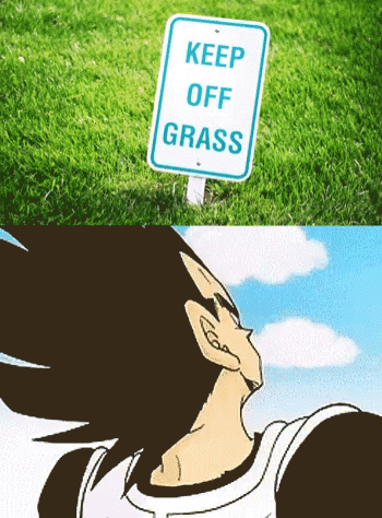 Kepp Off The Grass Bad Ass GIF - Kepp Off The Grass Bad Ass Vegeta GIFs