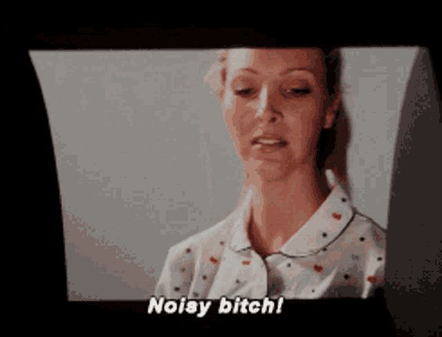 a tv screen shows a woman in pajamas and the words noisy bitch