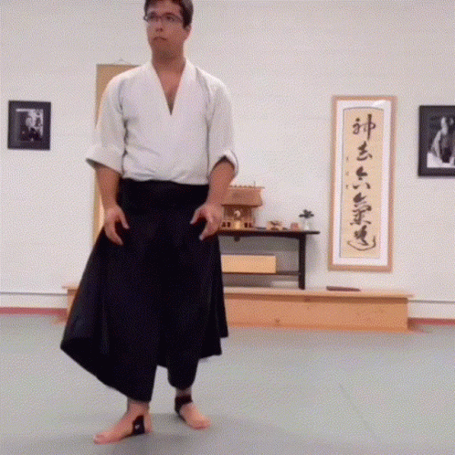 Aikido Flip GIF - Aikido Flip Fall GIFs