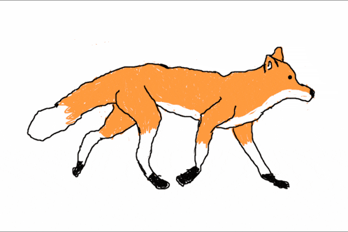 a drawing of a fox with a white tail