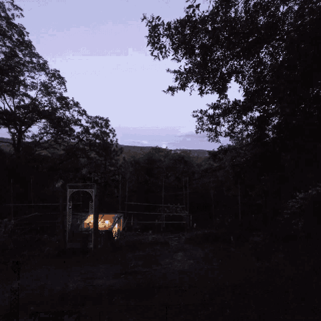 a full moon is visible in the night sky above a dark forest