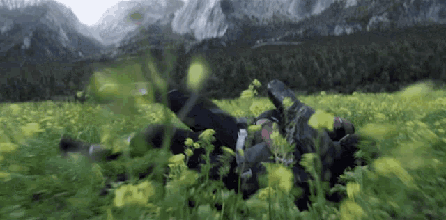 a person laying in a field of yellow flowers with mountains in the background