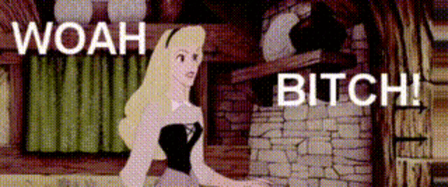 a cartoon of aurora from sleeping beauty with the words woah bitch behind her