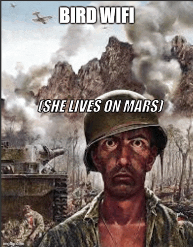 a painting of a soldier with the caption bird wifi
