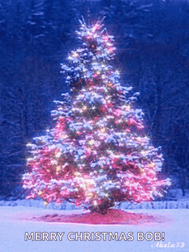 a merry christmas bob greeting card with a christmas tree in the snow
