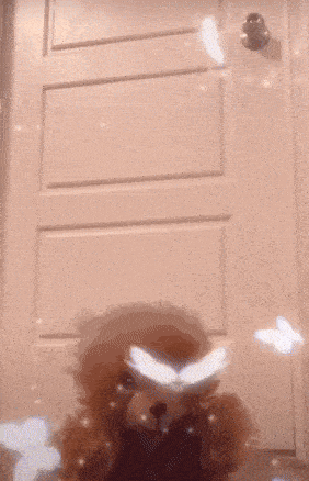 white butterflies are flying out of a white door