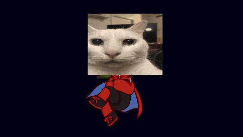 a collage of white cats and a drawing of a cat