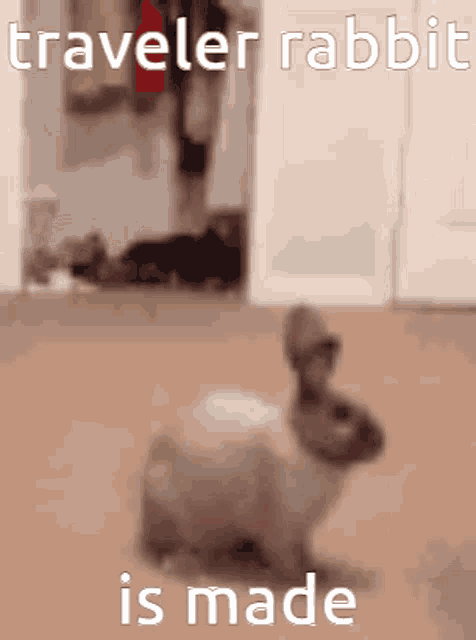 a picture of a traveler rabbit is made