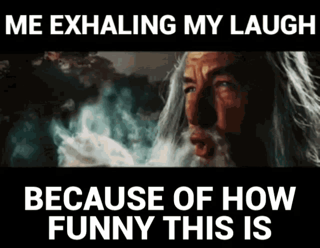 a picture of a bearded man with the words " me exhaling my laugh because of how funny this is " on the bottom