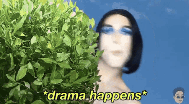 a blurry picture of a woman behind a bush with the words * drama happens *