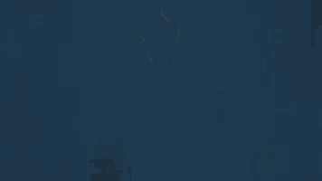 a man wearing an etihad airways shirt is standing in front of a blue background .