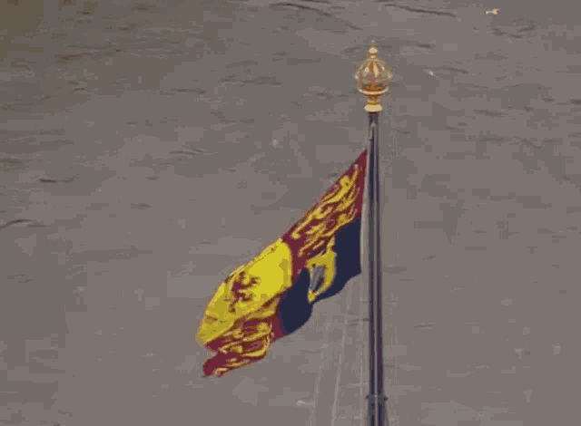 a flag with a lion on it is flying in the wind