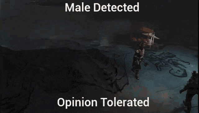 a screenshot of a video game with the words male detected opinion tolerated on the bottom