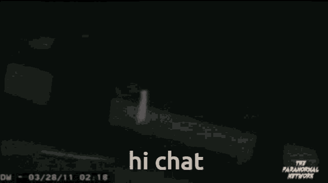a screenshot of a paranormal network video