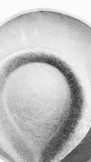 a black and white photo of a bowl of water .