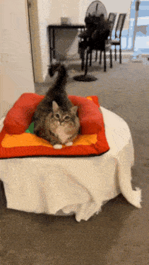 a cat is laying on a colorful pillow on top of a round table .