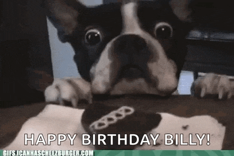 a black and white dog is sitting on a table and says happy birthday billy