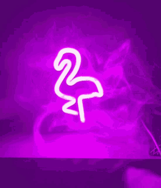 Flamingo N7 GIF