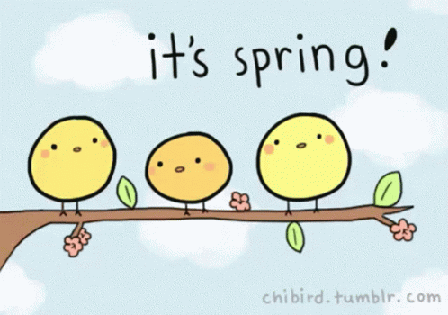 Happy First Day Of Spring Birds GIF - Happy First Day Of Spring Birds Its Spring GIFs