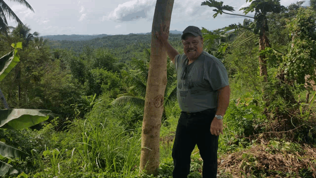 a man standing next to a tree wearing a shirt that says ' hawaii ' on the front