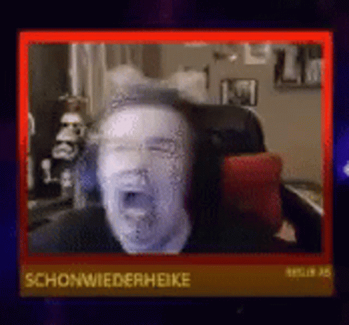 Herr Currywurst Kevin GIF - Herr Currywurst Kevin Lets Plays GIFs