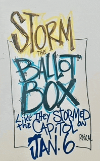 a sign that says storm the ballot box on it