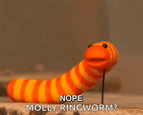 a stuffed worm with the words nope molly ringworm written below it