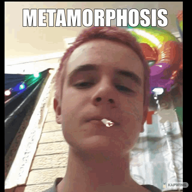 Metamorphosis Comrade Caleb Funny GIF - Metamorphosis Comrade Caleb Funny GIFs
