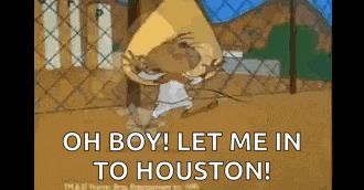 a cartoon of a mouse saying `` oh boy let me in to houston '' .