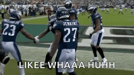 a group of football players are celebrating a touchdown on a football field .